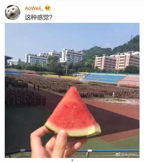 校园军训学长吃瓜视频,揭秘校园军训幕后趣事