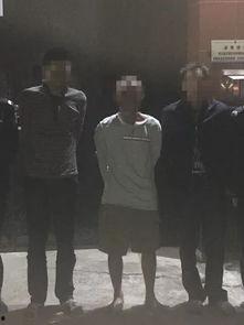 夺命港湾吃瓜人士,揭秘吃瓜人士背后的惊悚真相