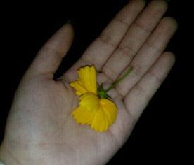 农民吃瓜视频大全,农民吃瓜视频大全趣味盘点