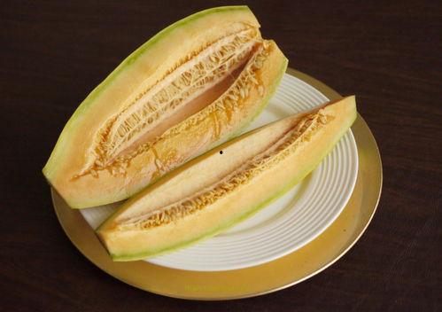 全球吃瓜照,趣味横生的生活瞬间大集合