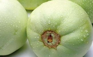 糖尿病人可以吃高瓜吗