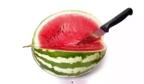 怎么吃瓜显得高端,尽显高端格调的吃瓜艺术