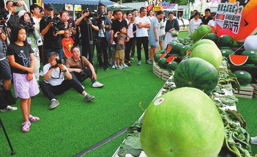 吃瓜沈阳,吃瓜群众眼中的城市风云录