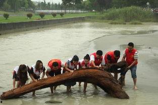 都江堰党员吃瓜,都江堰党员“吃瓜”现象背后的廉洁自律思考