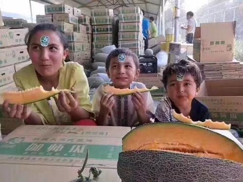 柳州有什么瓜吃,探寻这座城市的甜蜜诱惑