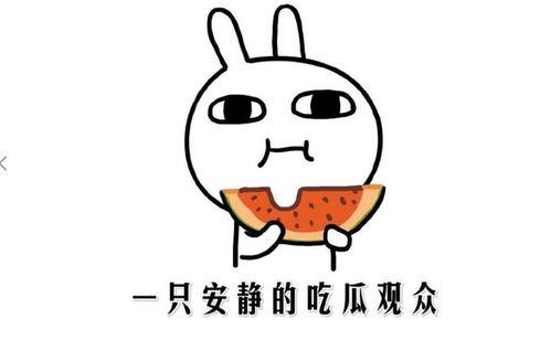 吃瓜群众是吃自己的瓜,瓜田里的自我寓言